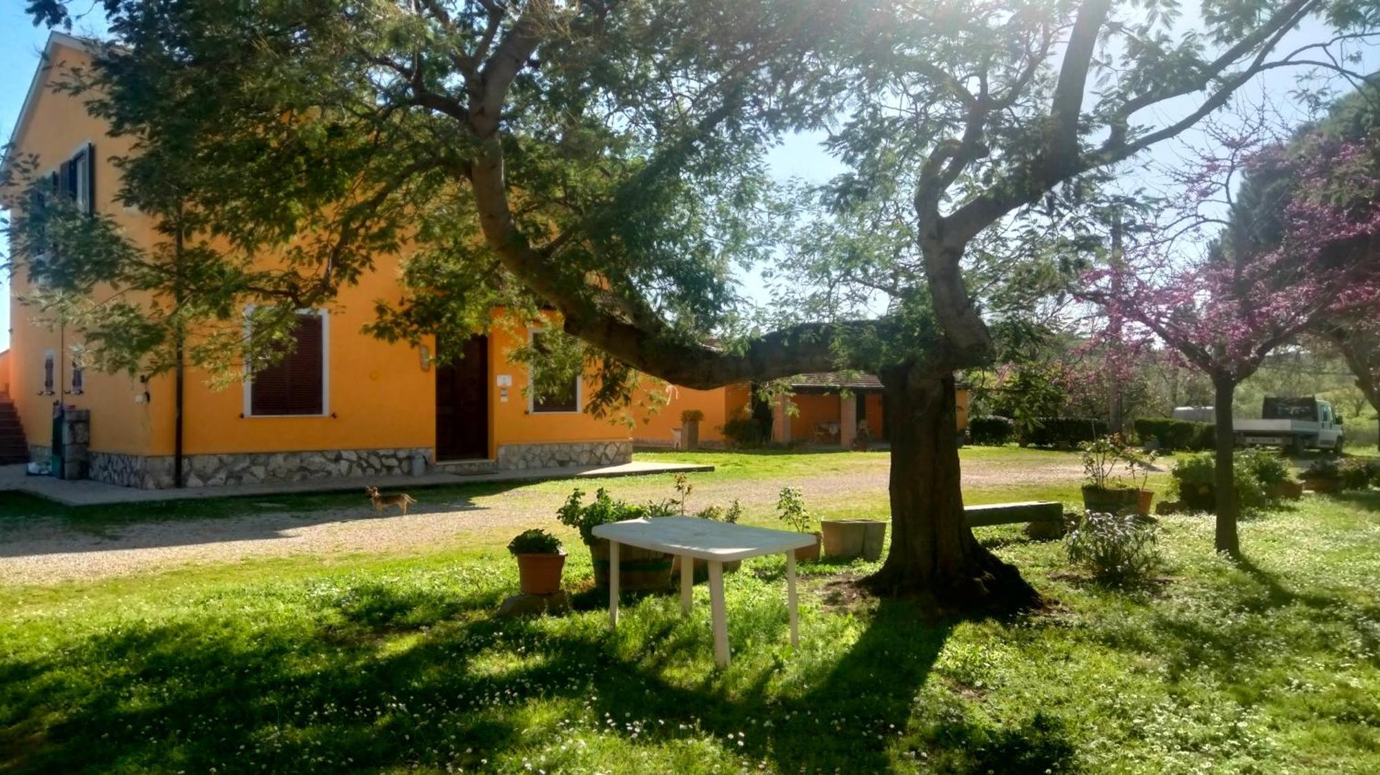 Agriturismo Da Remo Маляно ин Тоскана Стая снимка